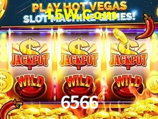 6566 Salvador - Support